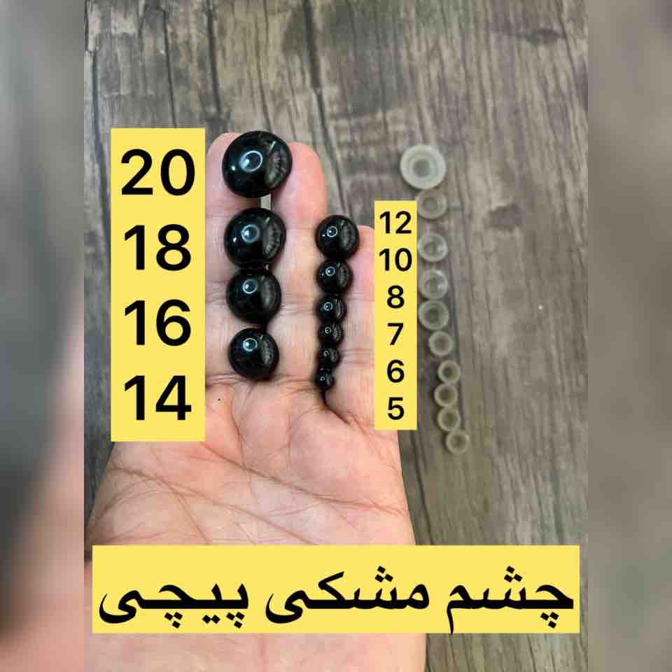 چشم مشکی چینی